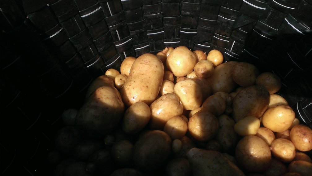 cleaned potatoes