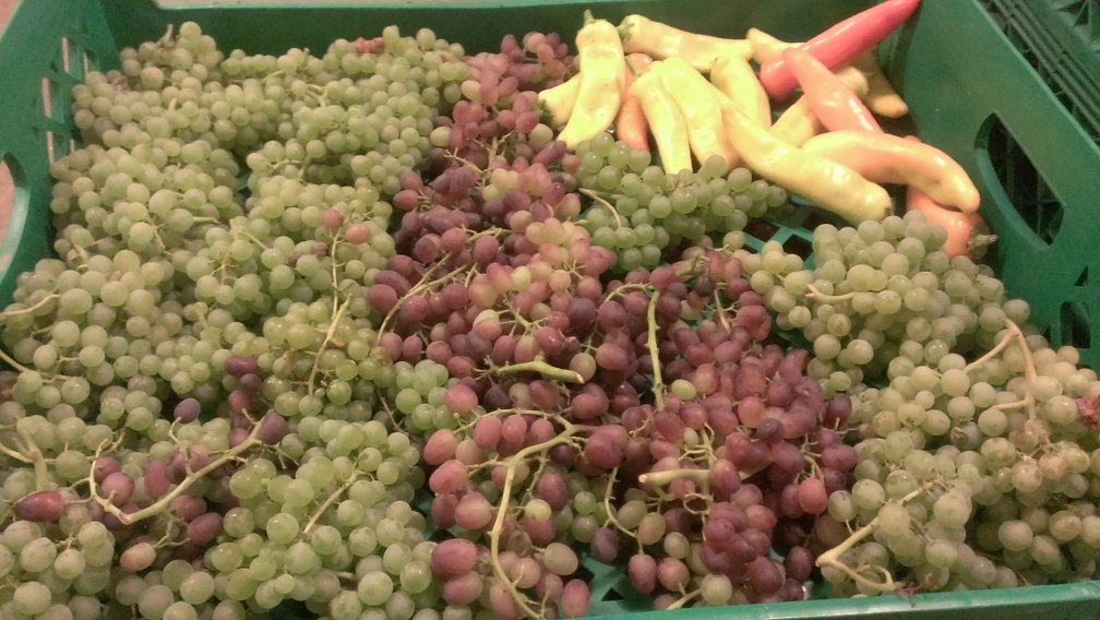 grapes