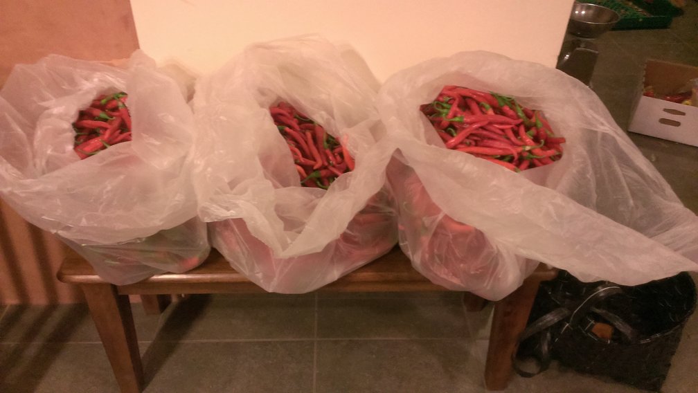 33 pounds of cayenne peppers