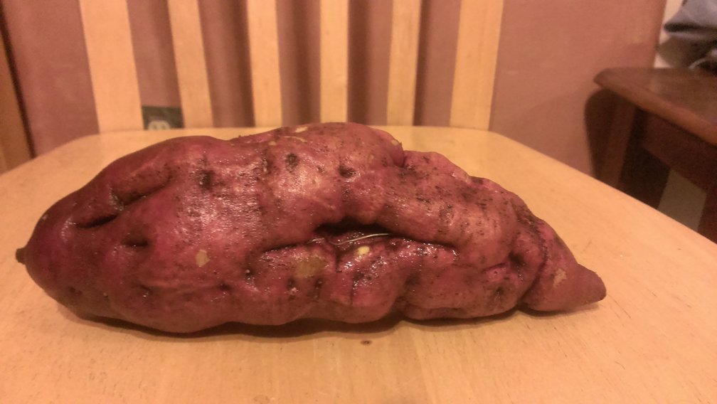 giant purple alien sweet potato