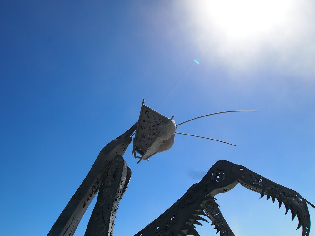 One of many mantis sculptures.