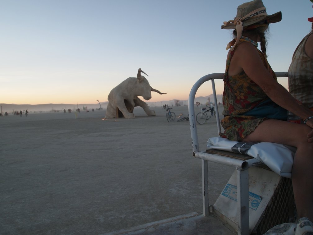 One of many bulls on the playa.