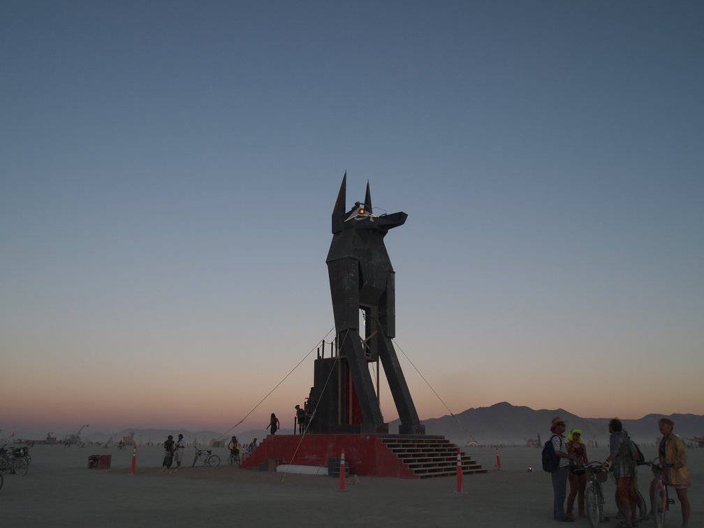 Anubis at sunset.