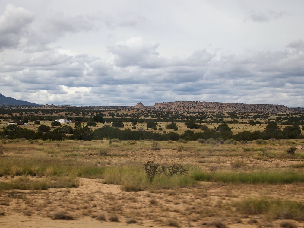 high desert landscape